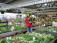 Frühling bei Hagebaumarkt